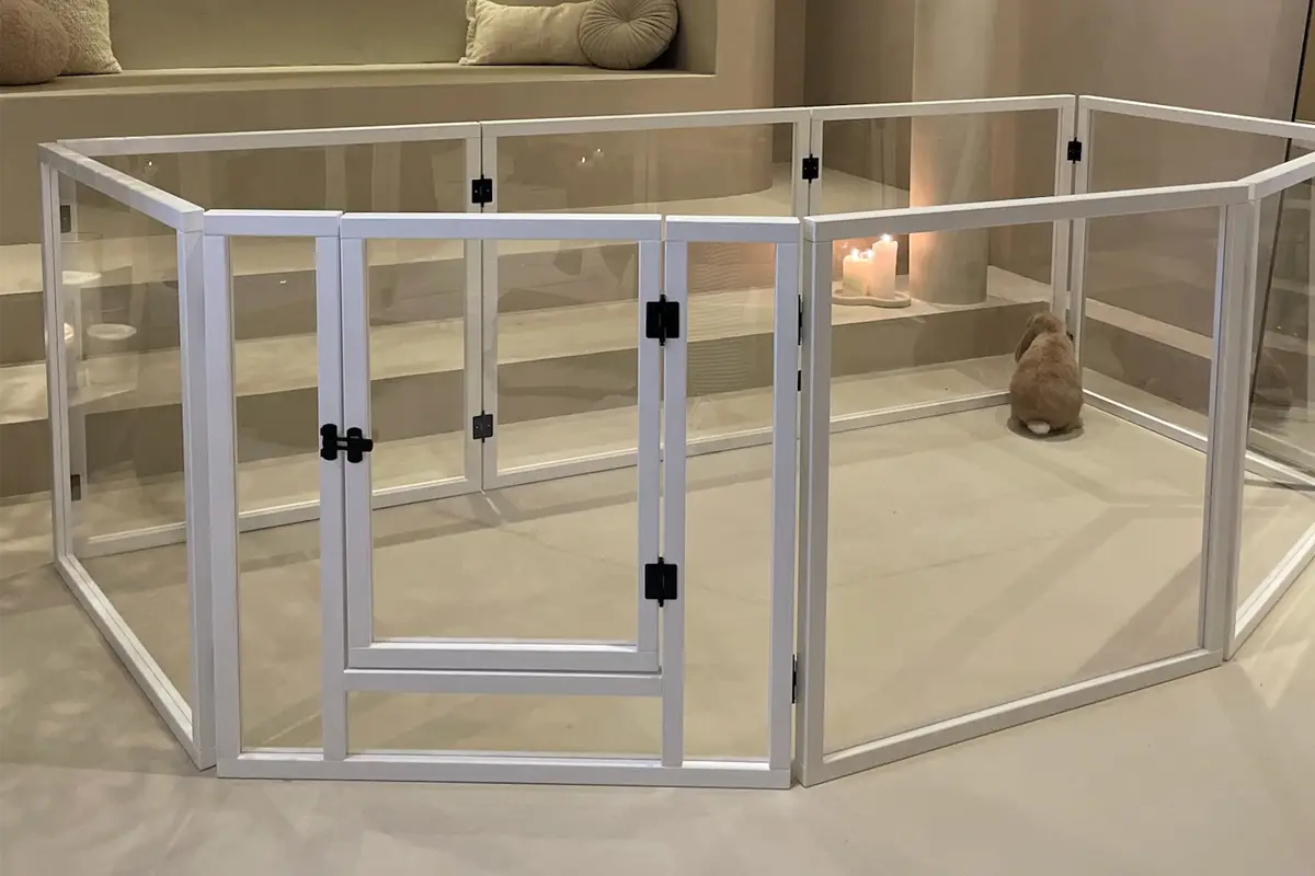 rabbit with luxury playpen