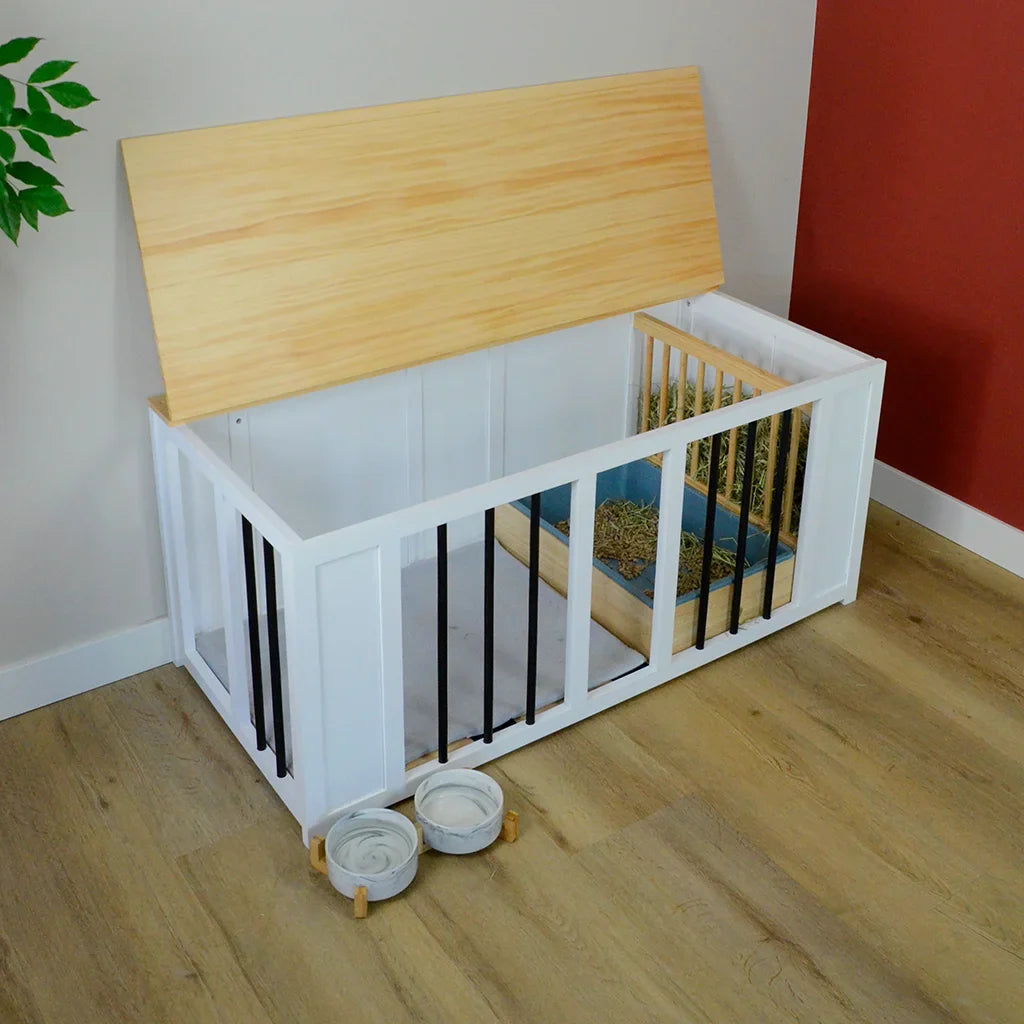 The First Weeks with a Bunny Mansion