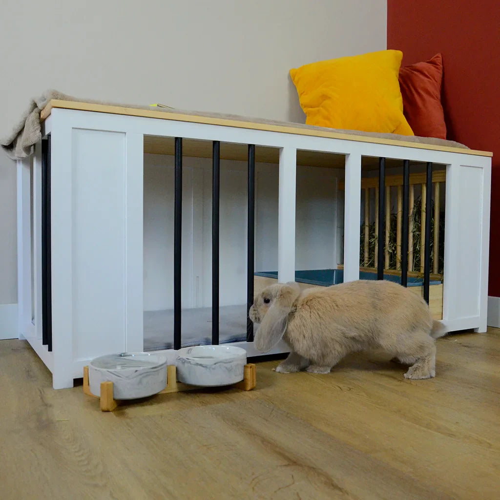 Natural Environment for Indoor Rabbits: Why and How