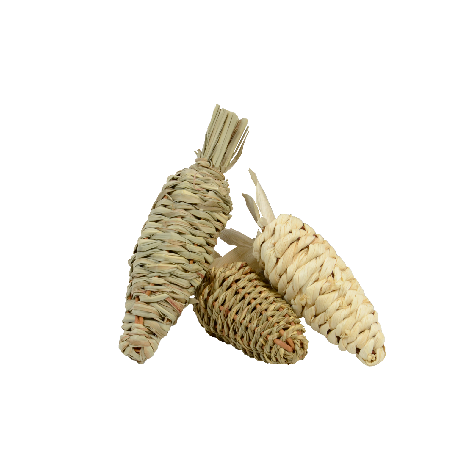 Chewing Toys