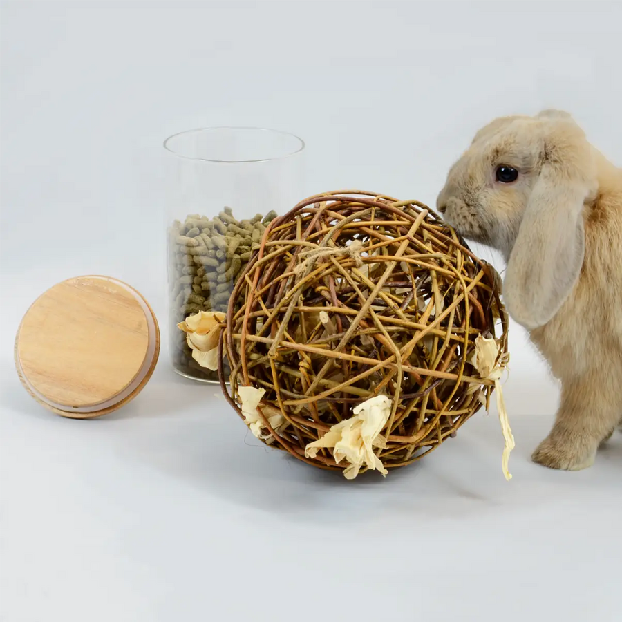 Chewing Toys