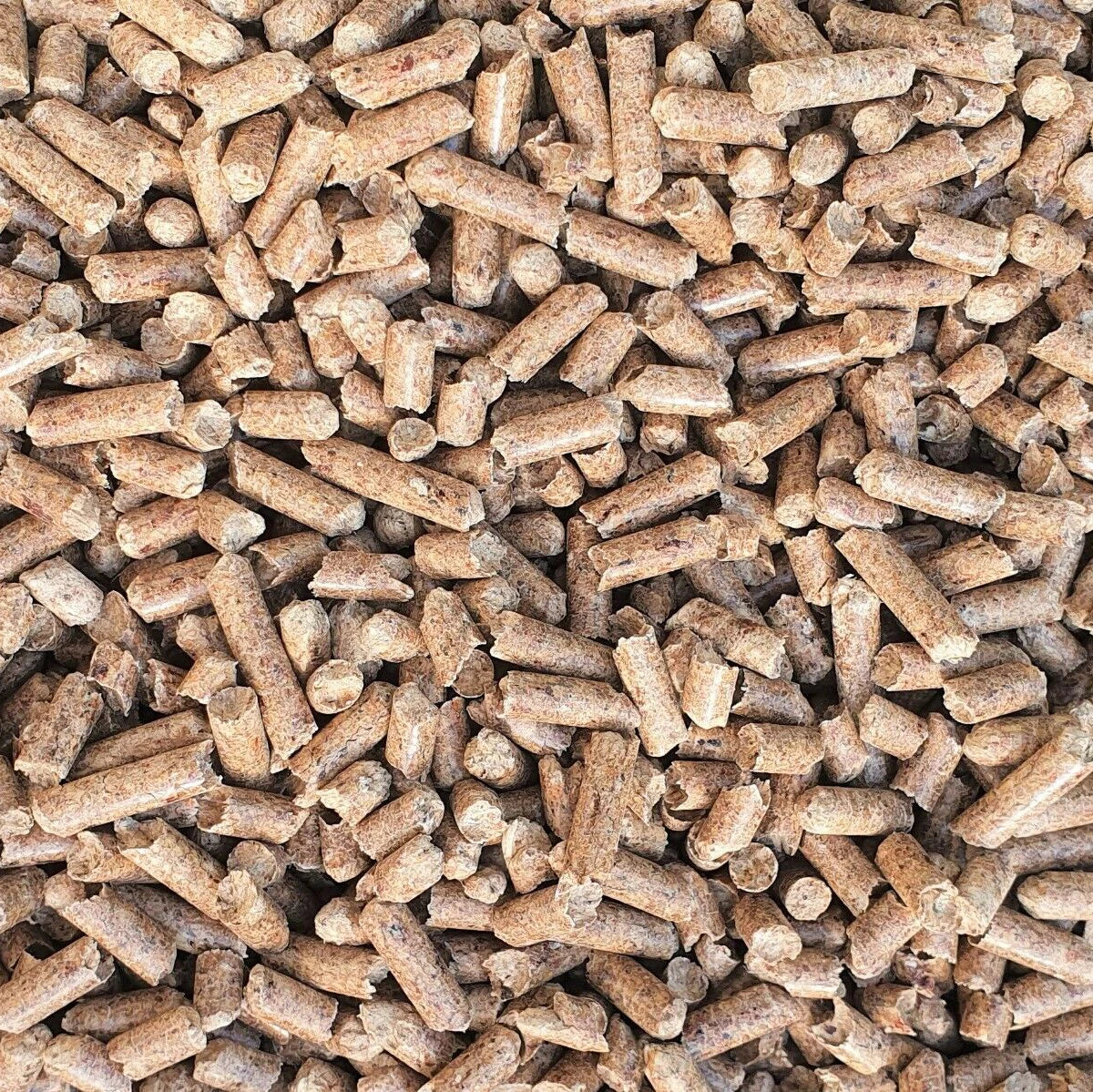 Toilet Litter