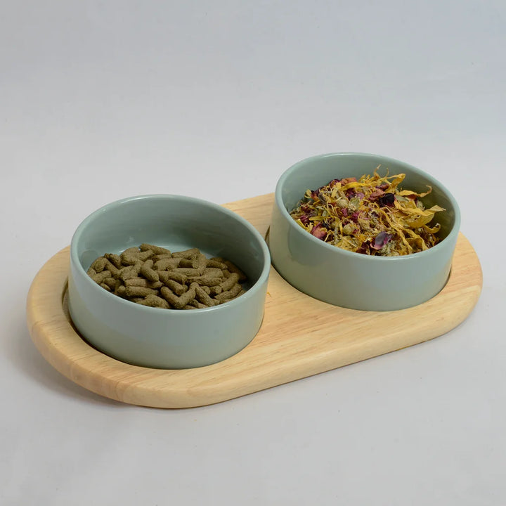 Two light green bowls for rabbits on a inclined bamboo stand