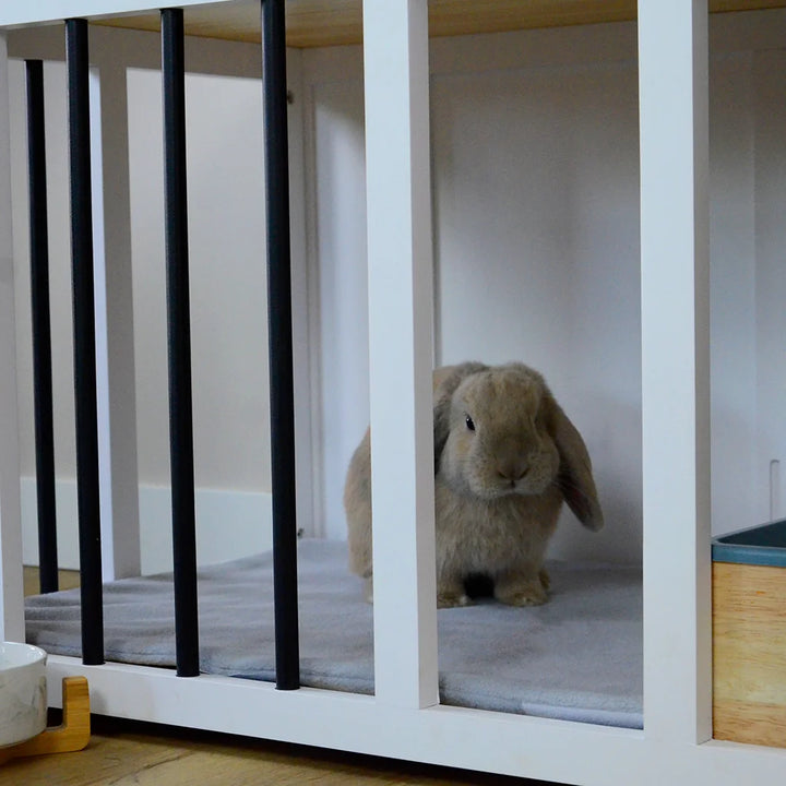 Fleece blanket in rabbit cage