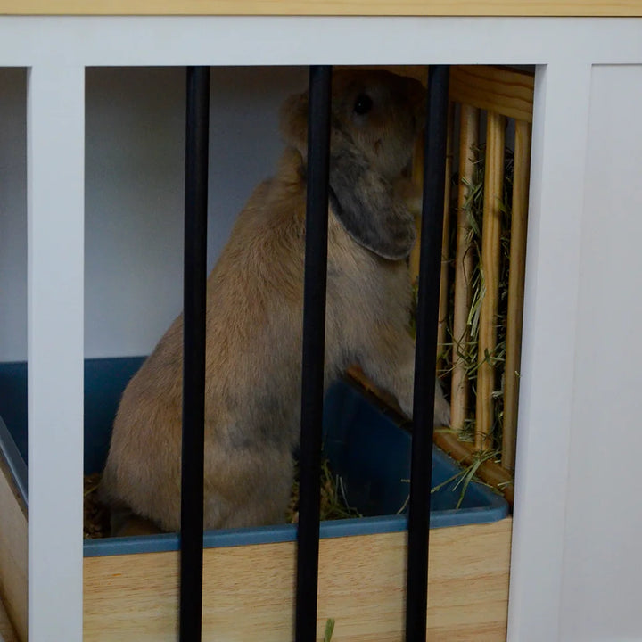 Bunny in hayrack of indoor bunny cage