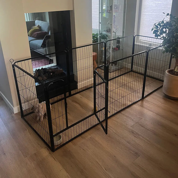 Rectangle Indoor Metal Playpen with rabbit