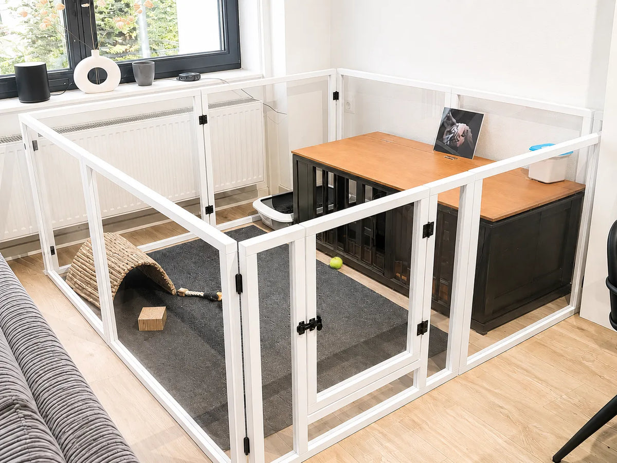 Complete Bunny Setup