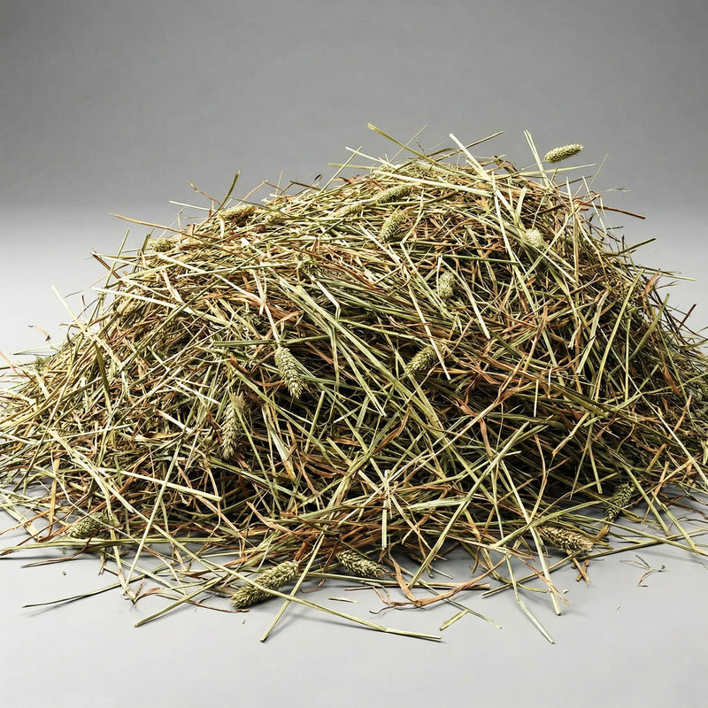 Fresh hay