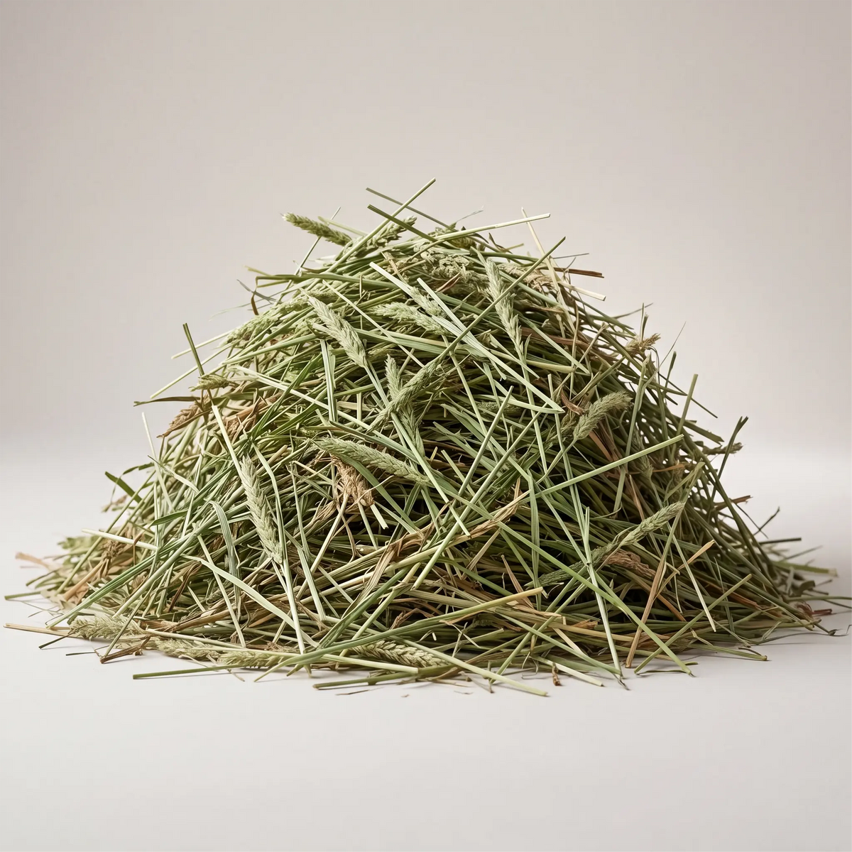 The daily hay your rabbit’s routine depends on.
