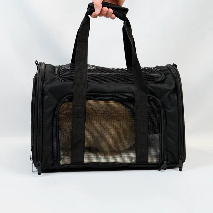 Black travel carrier with rabbit inside