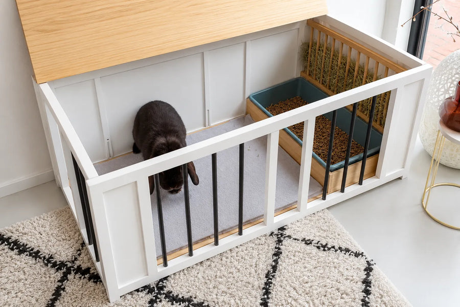 Two entrances, like a wild burrow