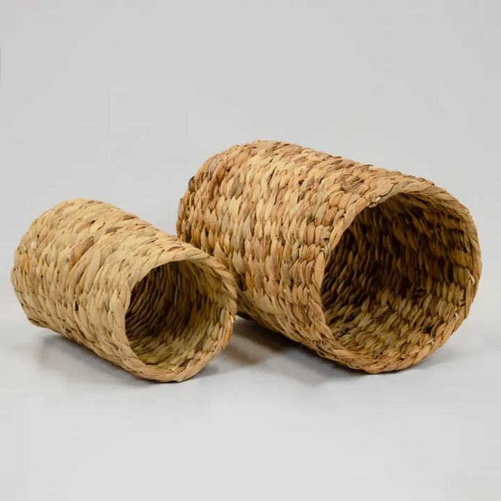 rosewood large tunnel hyacinth